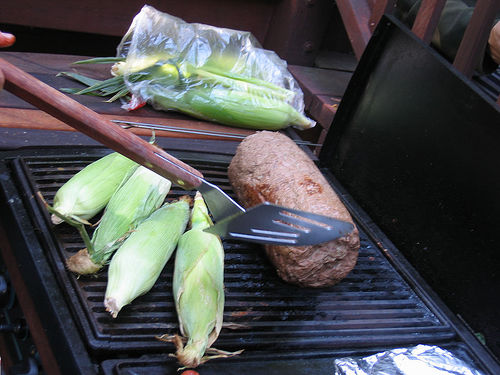 Gyro Cooking Browning