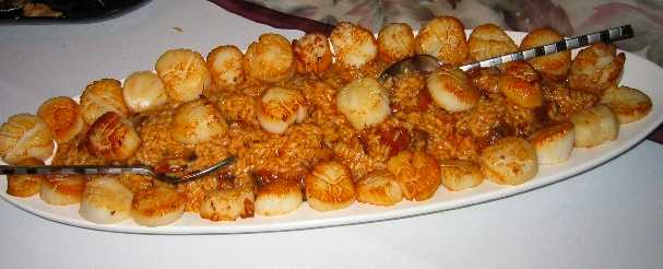 Scallops